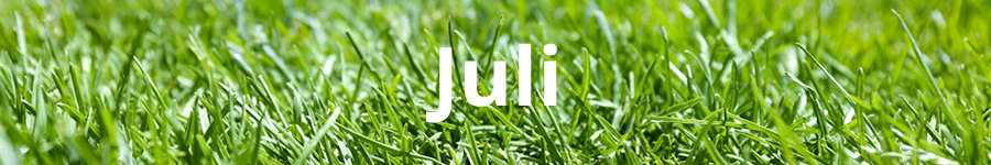 Gazononderhoud in juli Gazononderhoud in juli