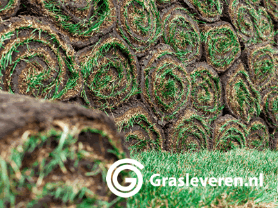 Graszoden Berkel Enschot Graszoden Berkel-Enschot