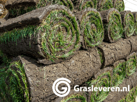 Graszoden Drunen Graszoden Drunen