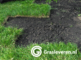 Graszoden Vlijmen Graszoden Vlijmen