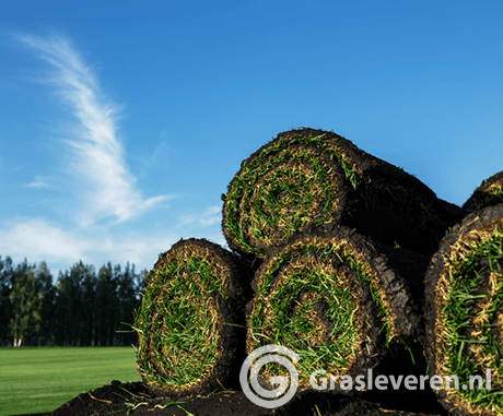 Graszoden kopen via Grasleveren.nl