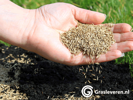 Gras doorzaaien