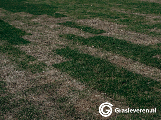 Gazon zomerklaar maken